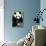 China 10MKm2 Collection - Giant Panda-Philippe Hugonnard-Stretched Canvas displayed on a wall