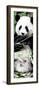 China 10MKm2 Collection - Giant Panda-Philippe Hugonnard-Framed Photographic Print