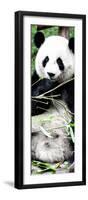 China 10MKm2 Collection - Giant Panda-Philippe Hugonnard-Framed Photographic Print