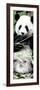 China 10MKm2 Collection - Giant Panda-Philippe Hugonnard-Framed Photographic Print