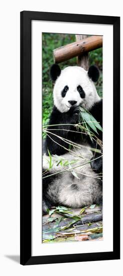 China 10MKm2 Collection - Giant Panda-Philippe Hugonnard-Framed Photographic Print