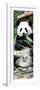 China 10MKm2 Collection - Giant Panda-Philippe Hugonnard-Framed Photographic Print