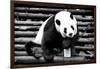 China 10MKm2 Collection - Giant Panda-Philippe Hugonnard-Framed Photographic Print