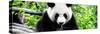 China 10MKm2 Collection - Giant Panda-Philippe Hugonnard-Stretched Canvas