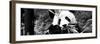 China 10MKm2 Collection - Giant Panda-Philippe Hugonnard-Framed Premium Photographic Print