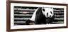 China 10MKm2 Collection - Giant Panda-Philippe Hugonnard-Framed Photographic Print