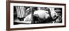 China 10MKm2 Collection - Giant Panda-Philippe Hugonnard-Framed Photographic Print