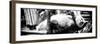 China 10MKm2 Collection - Giant Panda-Philippe Hugonnard-Framed Photographic Print