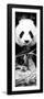 China 10MKm2 Collection - Giant Panda-Philippe Hugonnard-Framed Photographic Print