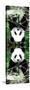 China 10MKm2 Collection - Giant Panda-Philippe Hugonnard-Stretched Canvas