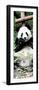 China 10MKm2 Collection - Giant Panda-Philippe Hugonnard-Framed Photographic Print