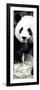 China 10MKm2 Collection - Giant Panda-Philippe Hugonnard-Framed Photographic Print