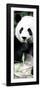 China 10MKm2 Collection - Giant Panda-Philippe Hugonnard-Framed Photographic Print