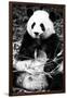 China 10MKm2 Collection - Giant Panda-Philippe Hugonnard-Framed Photographic Print