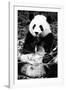 China 10MKm2 Collection - Giant Panda-Philippe Hugonnard-Framed Photographic Print