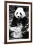 China 10MKm2 Collection - Giant Panda-Philippe Hugonnard-Framed Photographic Print