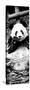 China 10MKm2 Collection - Giant Panda-Philippe Hugonnard-Stretched Canvas