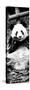 China 10MKm2 Collection - Giant Panda-Philippe Hugonnard-Stretched Canvas