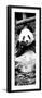 China 10MKm2 Collection - Giant Panda-Philippe Hugonnard-Framed Photographic Print