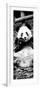 China 10MKm2 Collection - Giant Panda-Philippe Hugonnard-Framed Photographic Print