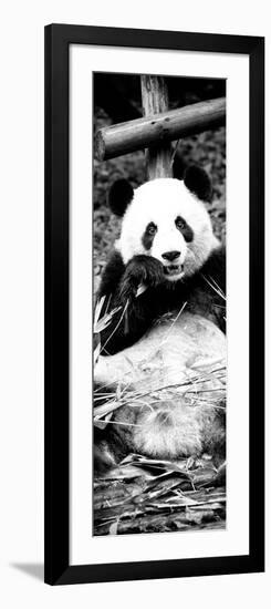 China 10MKm2 Collection - Giant Panda-Philippe Hugonnard-Framed Photographic Print