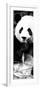 China 10MKm2 Collection - Giant Panda-Philippe Hugonnard-Framed Photographic Print