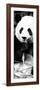 China 10MKm2 Collection - Giant Panda-Philippe Hugonnard-Framed Photographic Print