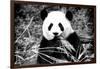 China 10MKm2 Collection - Giant Panda-Philippe Hugonnard-Framed Photographic Print