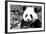 China 10MKm2 Collection - Giant Panda-Philippe Hugonnard-Framed Photographic Print