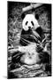 China 10MKm2 Collection - Giant Panda-Philippe Hugonnard-Mounted Photographic Print