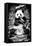 China 10MKm2 Collection - Giant Panda-Philippe Hugonnard-Framed Stretched Canvas