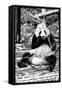 China 10MKm2 Collection - Giant Panda-Philippe Hugonnard-Framed Stretched Canvas