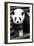 China 10MKm2 Collection - Giant Panda-Philippe Hugonnard-Framed Photographic Print