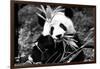 China 10MKm2 Collection - Giant Panda-Philippe Hugonnard-Framed Photographic Print