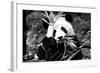 China 10MKm2 Collection - Giant Panda-Philippe Hugonnard-Framed Photographic Print