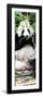 China 10MKm2 Collection - Giant Panda-Philippe Hugonnard-Framed Photographic Print