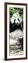 China 10MKm2 Collection - Giant Panda-Philippe Hugonnard-Framed Photographic Print