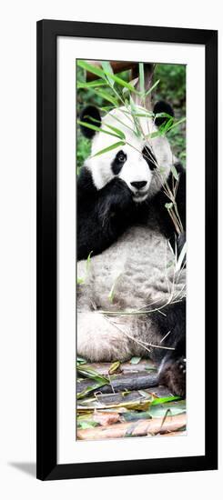 China 10MKm2 Collection - Giant Panda-Philippe Hugonnard-Framed Photographic Print