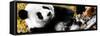 China 10MKm2 Collection - Giant Panda-Philippe Hugonnard-Framed Stretched Canvas