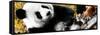 China 10MKm2 Collection - Giant Panda-Philippe Hugonnard-Framed Stretched Canvas