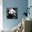 China 10MKm2 Collection - Giant Panda-Philippe Hugonnard-Mounted Photographic Print displayed on a wall