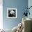 China 10MKm2 Collection - Giant Panda-Philippe Hugonnard-Framed Photographic Print displayed on a wall