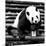 China 10MKm2 Collection - Giant Panda-Philippe Hugonnard-Mounted Photographic Print