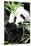 China 10MKm2 Collection - Giant Panda-Philippe Hugonnard-Stretched Canvas