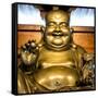 China 10MKm2 Collection - Gold Buddha-Philippe Hugonnard-Framed Stretched Canvas