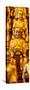 China 10MKm2 Collection - Gold Buddhist Statue in Longhua Temple-Philippe Hugonnard-Stretched Canvas