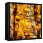 China 10MKm2 Collection - Gold Buddhist Statue in Longhua Temple-Philippe Hugonnard-Framed Stretched Canvas