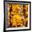 China 10MKm2 Collection - Gold Buddhist Statue in Longhua Temple-Philippe Hugonnard-Framed Photographic Print