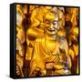 China 10MKm2 Collection - Gold Buddhist Statue in Longhua Temple-Philippe Hugonnard-Framed Stretched Canvas