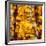 China 10MKm2 Collection - Gold Buddhist Statue in Longhua Temple-Philippe Hugonnard-Framed Photographic Print